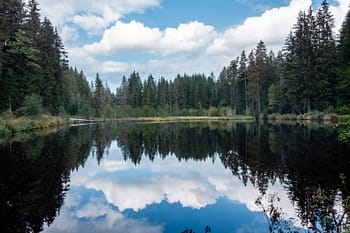 Peaceful lake Germany's Black Forest
