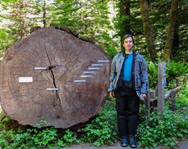 June 2011, California, USA